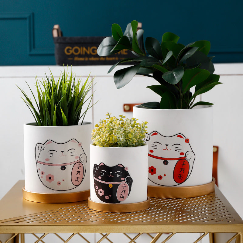 Cute Green Succulent Plant Pots for Fresh, Happy Home Decor