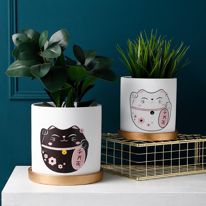 Cute Green Succulent Plant Pots for Fresh, Happy Home Decor